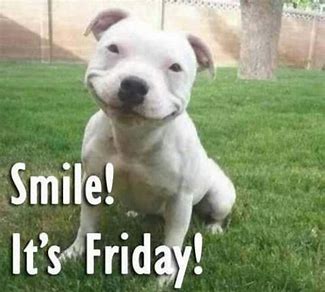 Image result for smile its friday